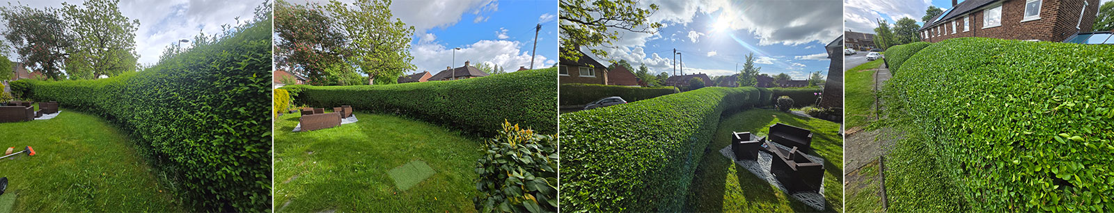 Hedge Trimming in Eccles, Manchester
