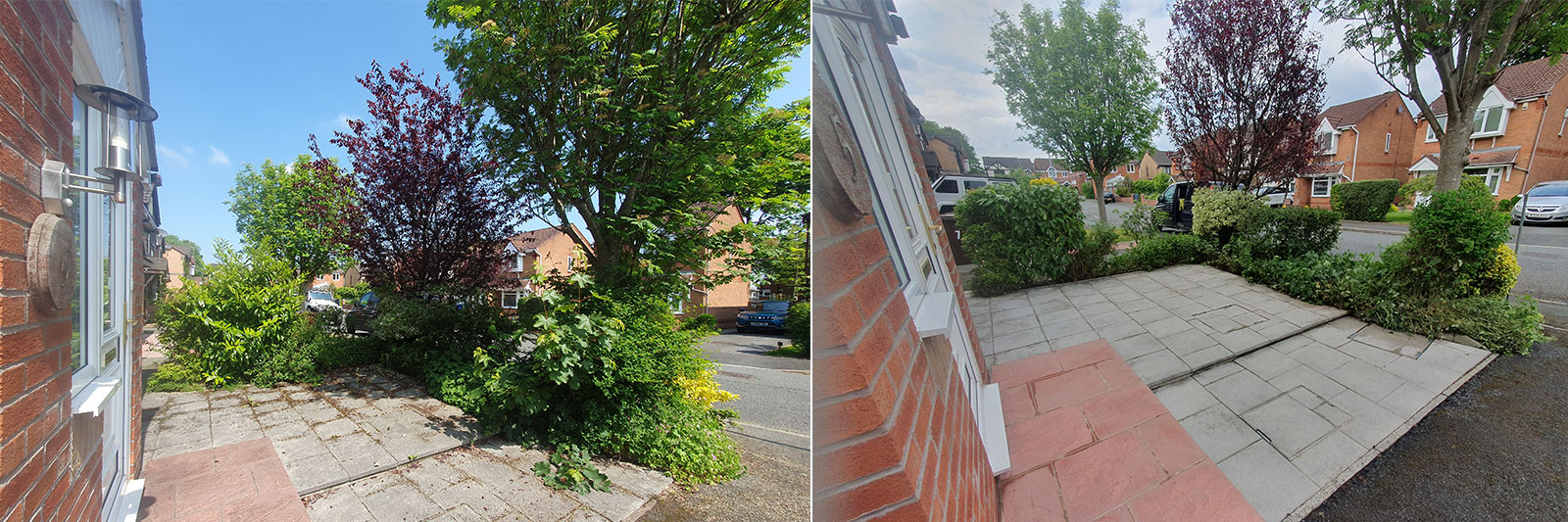 Tree Pruning in Prestwich